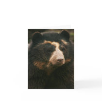 Bubu Notecard PB3