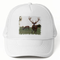 Buck  Baseball Hat