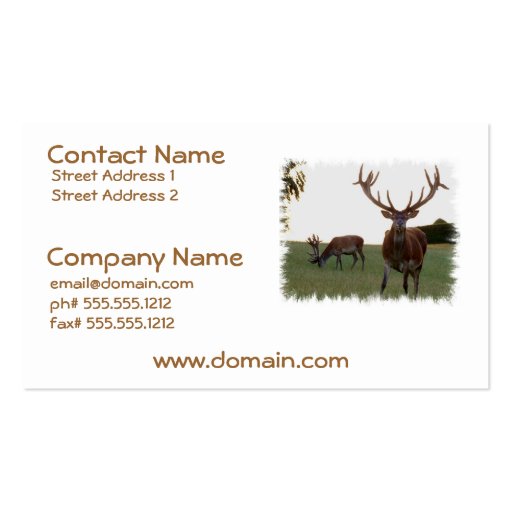 Buck Business Cards (front side)