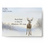 Buck Deer in Snow Envelope