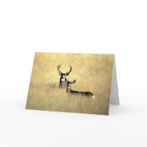 BUCK & DOE CARD