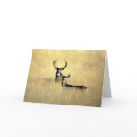 BUCK &amp; DOE CARD
