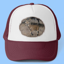 Buck Hat