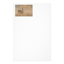 Buck in the Grass Stationery Design