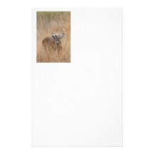 Buck in the Grass Stationery Paper