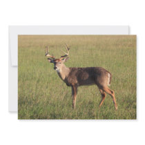Buck Invitation Cards