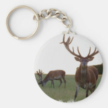 Buck  Keychain