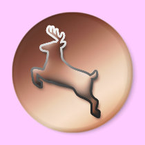 Buck Magnet magnets