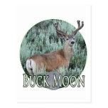 Buck moon post card