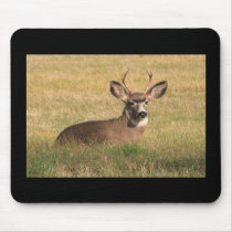 buck mousepads
