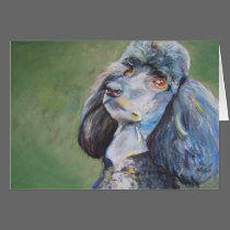 Buck, Standard Poodle cards