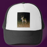 Buck White Tail Deer hats
