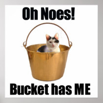 Bucket Cat Print