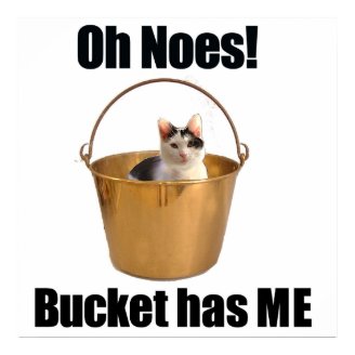 Bucket Cat Print