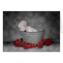 Bucket & Roses cards by englishw Bucket & Roses cards