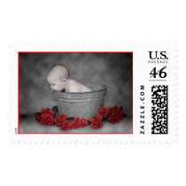 Bucket & Roses postage by englishw Bucket & Roses postage