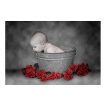 Bucket & Roses posters by englishw Bucket & Roses posters