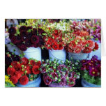 Buckets Of Flowers Card