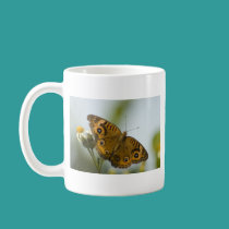 Buckeye Beauty mugs