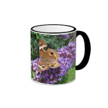 Buckeye butterfly ~ mug