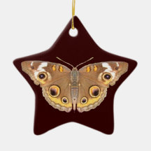 Buckeye butterfly ~ ornaments