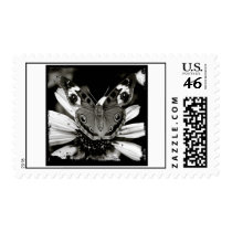 Buckeye Butterfly postage by dfglandon Buckeye Butterfly postage