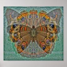 Buckeye butterfly - Print