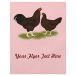 Buckeye Chickens flyers