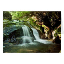 Buckeye Creek Falls Cards