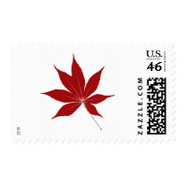Buckeye Leaf postage