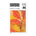 buckeyeleaves2 stamp