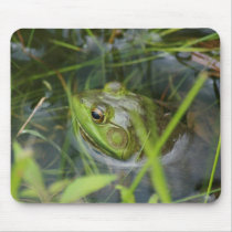 Buckfield Frog Mouse Pads
