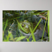 Buckfield Frog Print