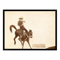 Bucking Bronco SD 1888 posters by lc_grabill Bucking Bronco SD 1888 posters