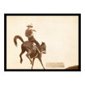 Bucking Bronco SD 1888 posters by lc_grabill Bucking Bronco SD 1888 posters