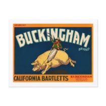 Buckingham Bartlett Apples - Vintage Crate Label Post Card