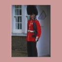 Buckingham Palace Guard postcards
