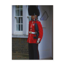 Buckingham Palace Guard postcards
