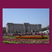 Buckingham posters