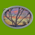 BUCKLE ART belt buckles