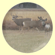 Bucks and Doe Deer Plate plates