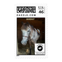 BUCKSHOT Commemorative  Stamp