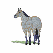 Buckskin embroidered shirts