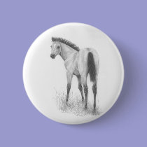 Buckskin filly Button