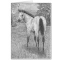Buckskin filly cards