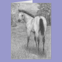 Buckskin filly cards