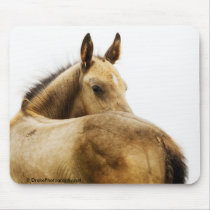 Buckskin Foal mousepads by PaintingPony Buckskin Foal mousepads