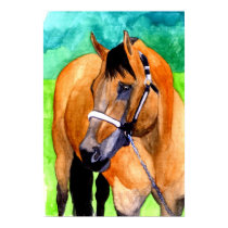 Buckskin Halter Horse Quarter Horse Portrait posters by OldeTimeMercantile Buckskin Halter Horse Quarter Horse Portrait posters