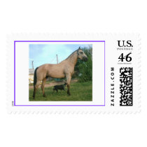 Buckskin Horse and heeler dog postage