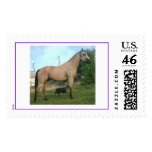 Buckskin Horse and heeler dog Stamp